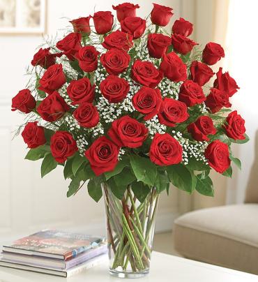 Ultimate Elegance  Premium Long Stem Red Roses