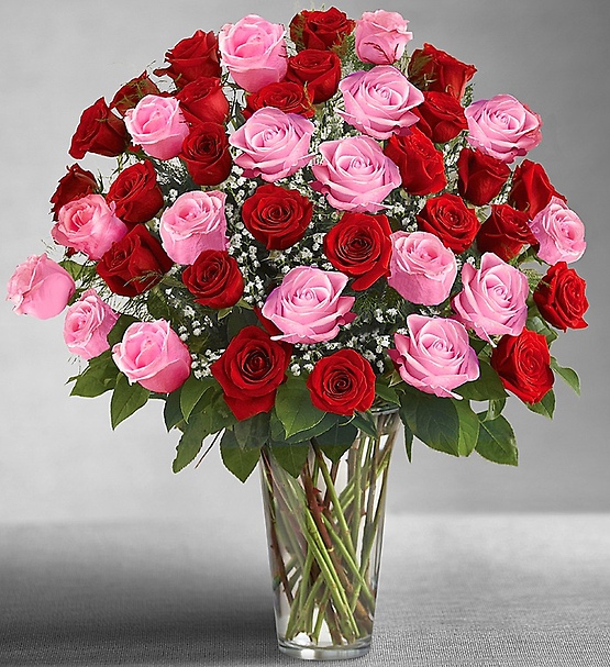 Ultimate Elegance Long Stem Pink & Red Roses
