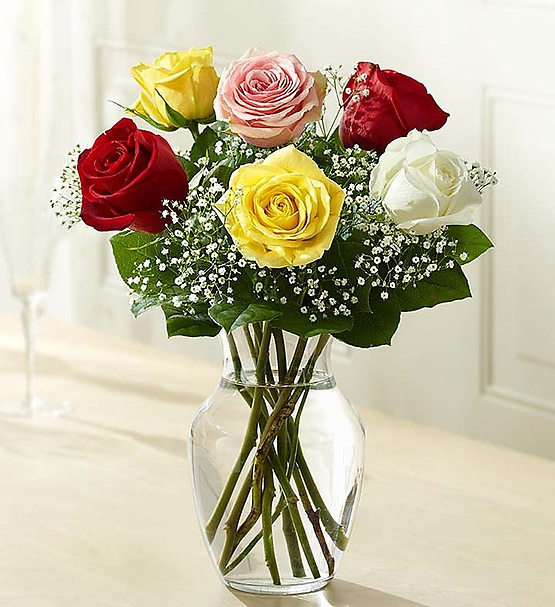 Love\'s Embrace&trade; Roses - Assorted