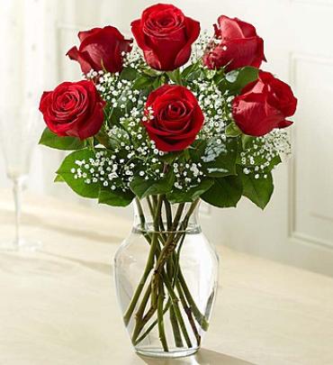 Love\'s Embrace 6 Roses - Red